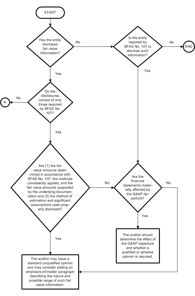 Auditing Guidance for Fair Value Information Required Information Only