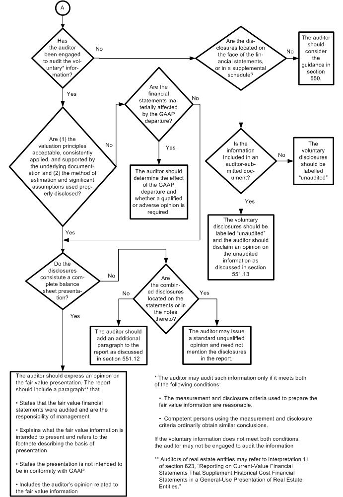 Auditing Guidance for Fair Value Information Required and Voluntary Information